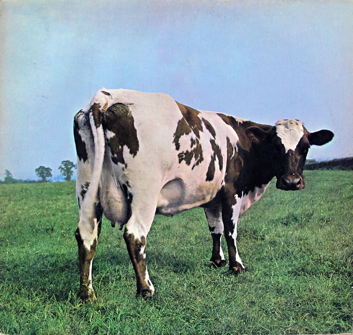 High Resolution Photo #1 PINK FLOYD Atom Heart Germany DE74 